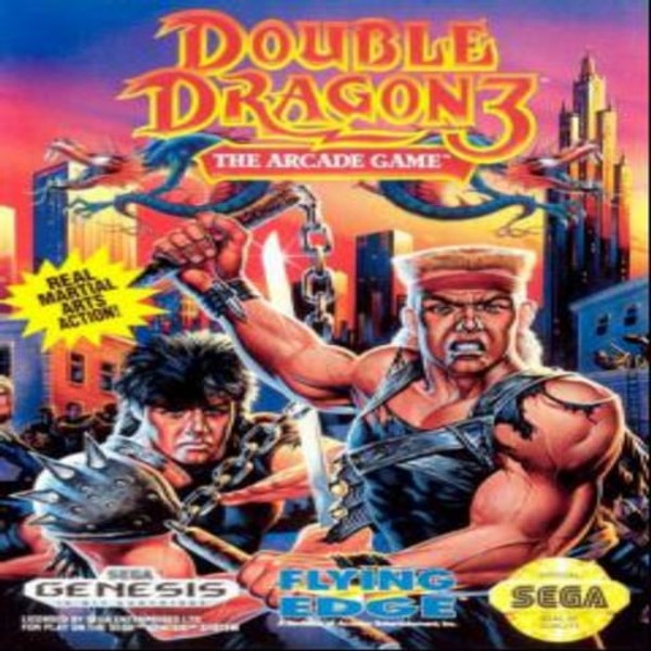 Double Dragon 3: The Arcade Game